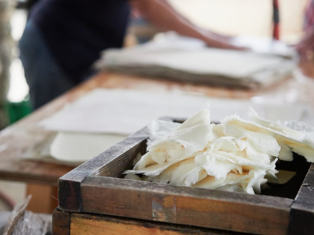handmade paper production workshop using natural vegetable fibers. Leisure activity learning