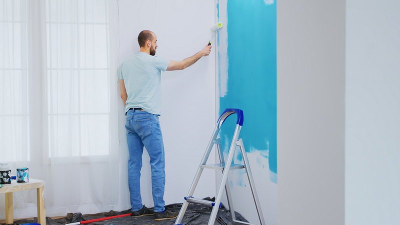 Interior Wall Paint Systems | LANDU